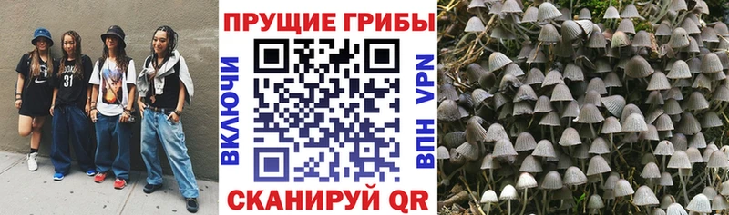 мориарти наркотические препараты где найти Жигулёвск Галлюциногенные грибы Cubensis